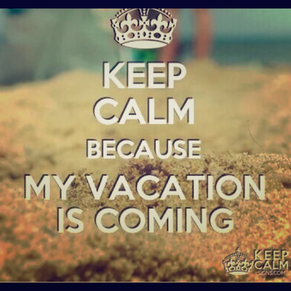 Going away! Make an offer and I’ll ship ASAP!